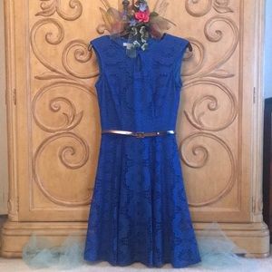 London Style Fit and Flair Lace Dress Royal Blue